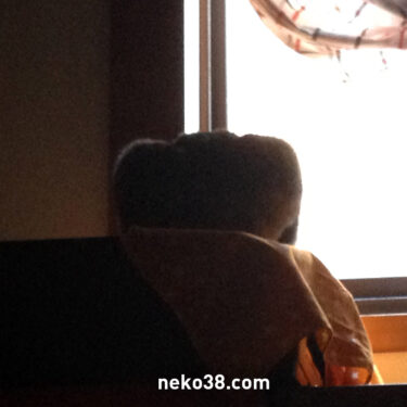 四角いねこさん