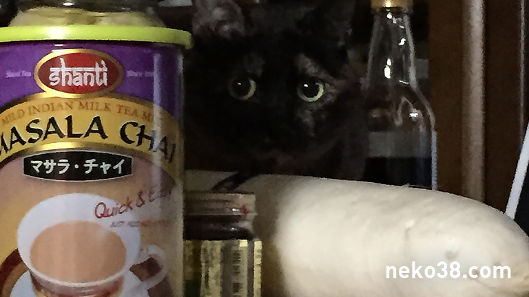 シャンティマサラチャイの隣にいるサビ猫