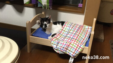 IKEAドールベッドを買ってみた