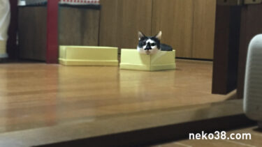 ふわふわパンチ