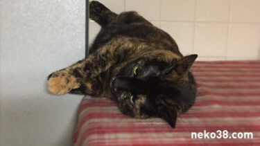 狙ってるとしか思えない