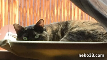 ゴミ袋の暮らし