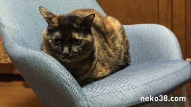 ロッキングチェア