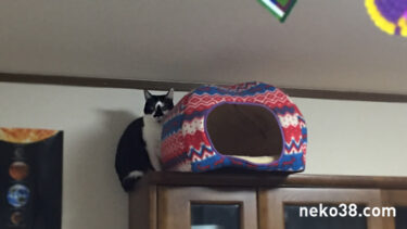 根性で開けるきじお