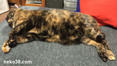 気になるエアコン