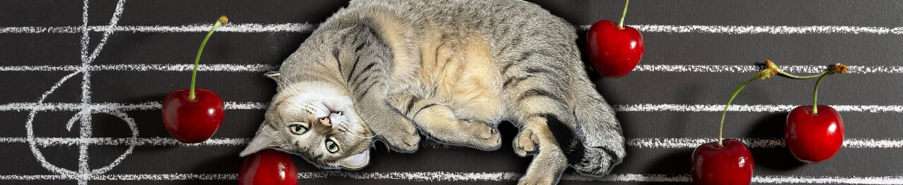 きじおとさくらんぼ