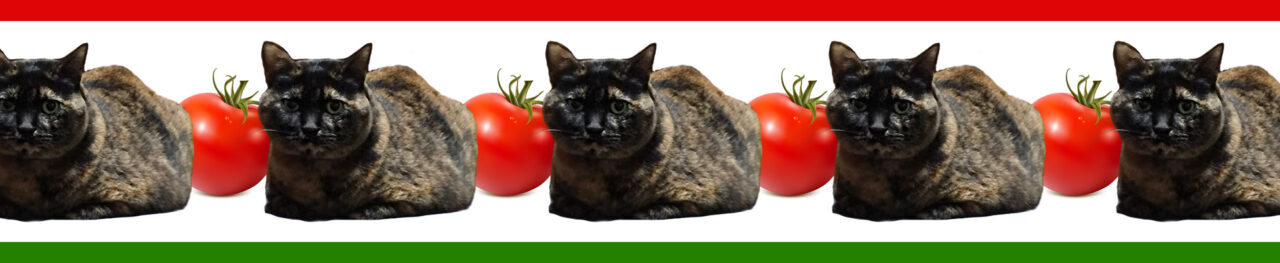 ねこさんとトマト