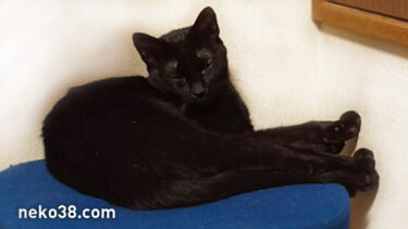 家出中のやまこ