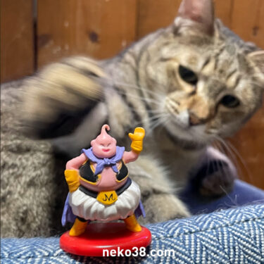 魔人ブウ危機一髪