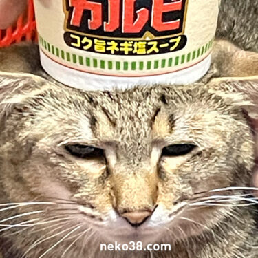 ねぎ塩カルビ コク旨ネギ塩スープ